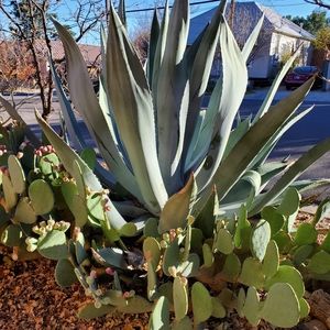 ❤ The Listing, but not the Price? Make an offer!